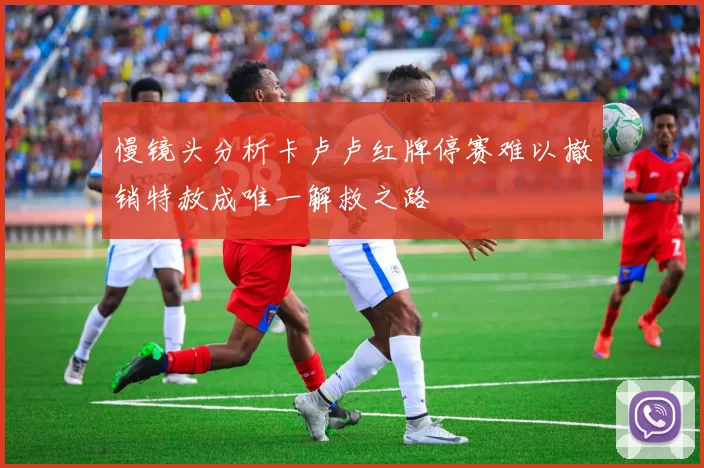 慢镜头分析卡卢卢红牌停赛难以撤销特赦成唯一解救之路