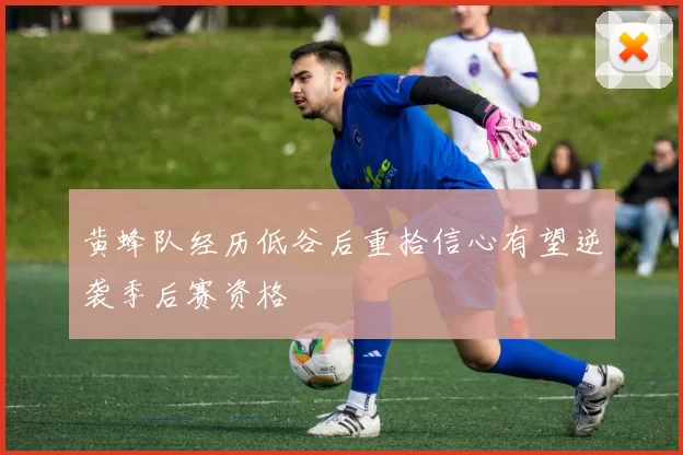 黄蜂队经历低谷后重拾信心有望逆袭季后赛资格
