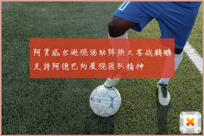 阿贾威尔逊现场助阵热火客战鹈鹕支持阿德巴约展现团队精神